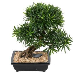 Bonsaï Podocarpus Artificiel H 50 cm D 45 cm en pot