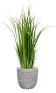 Herbe large artificielle en pot isolepsis factice H 80 cm D 30 cm Vert