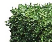 Haie de buis factice feuille plastique protect UV 100x3x50cm Vert-BEST