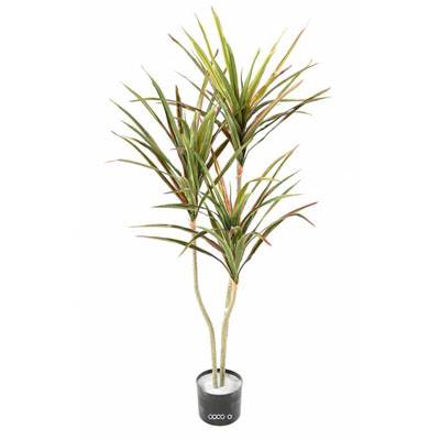 Dracaena artificiel 3 troncs en pot H 140 cm Vert-rose