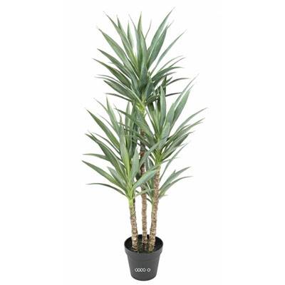 Yucca artificiel multitroncs en pot H 150 cm feuillage plastique