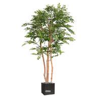Acacia artificiel eco 4 troncs Naturels en pot H 200 cm Vert