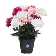 Pot fleurs artificielles pour le cimetière chrysanthèmes pompons Rose soutenu