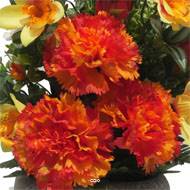 jardinièrre pot beton d'œillet,bouton de rose, Orchidée, glaieul Orange pour la Toussaint