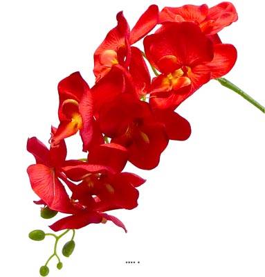 Orchidée Tao factice H105 cm 8 fleurons 5 boutons qualité Pro Rouge