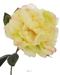 Pivoine artificielle crème Vert H 63 cm très belle tête