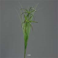 Branche de Papyrus artificiel H 67 cm 2 têtes