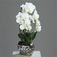 Orchidee artificielle 3 hampes en pot ceramique Argent H 55 cm Crème