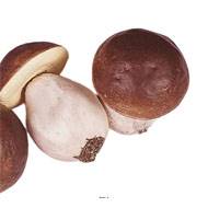 Bolets artificiels en lot de 3 en Plastique soufflé H 100x65 mm