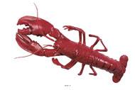 Homard americain artificiel en Plastique soufflé L 500x180 mm