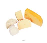 Assortiment de 5 fromages en lot de 5 en Plastique soufflé L 60-155 mm