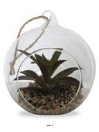 Plante grasse factice succulente en bulle de verre avec corde Type C