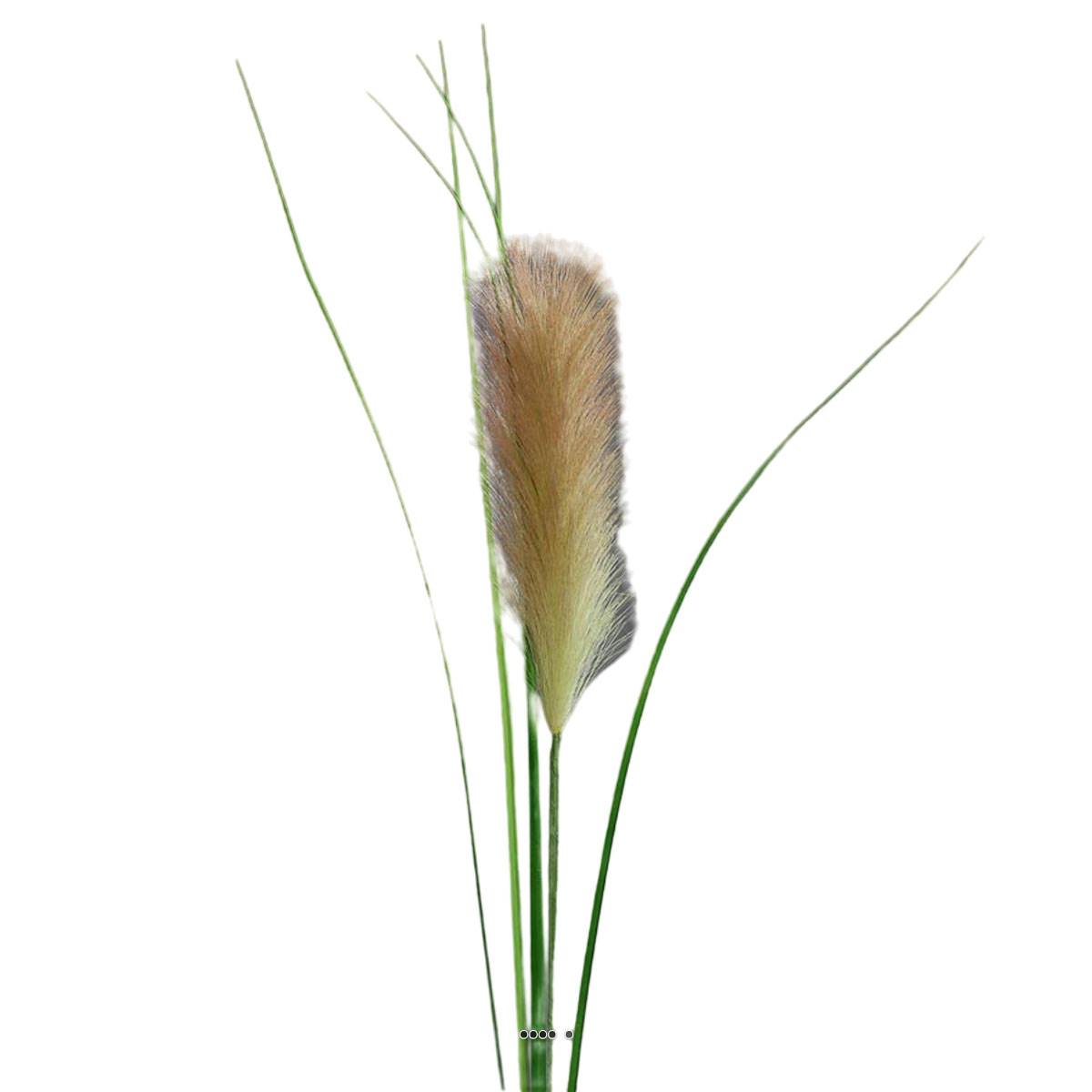 Herbe De La Pampa Artificielle H 97 Cm Superbe Plumeau Pêche