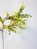 Croton factice en branche H65cm 3 têtes 45 feuilles tissu Vert-jaune