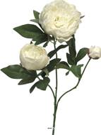 Pivoine artificielle ramifiée, 3 têtes, H 70 cm Crème -  BEST