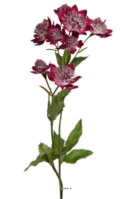 Astrance fleur factice H50cm 8 fleurs 2 ramures Rare Mauve violet