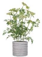 Trachelium fleuri artificiel en pot, H 100 cm, D 70 cm