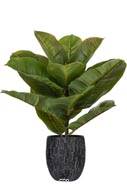 Ficus robusta artificiel en pot, H 30 cm, D 27 cm