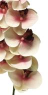 Tige orchidée phalaenopsis Factice 9 fleurons H77cm Pourpre-blanc-BEST