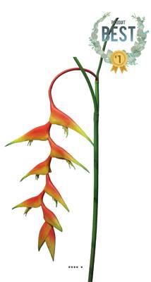 Branche d’Heliconia des Caraibes artificiel, L 96 cm - BEST