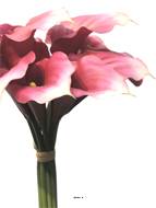 Bouquet d’Arum Calla artificiel, 12 têtes, H 45 cm Rose fushia - BEST