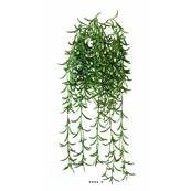 Succulente plante verte artificielle suspendue H 45 cm