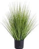 Isolepsis Herbes Graminees artificielles Vert H 60cm en pot D 30cm