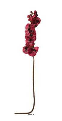 Superbe tige d'orchidée artificielle toucher réel 10 fleurons 110 cm Pourpre