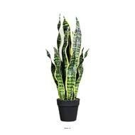 Sanseveria artificiel en pot H 65 cm en plastique vert-blanc