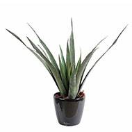 Aloe artificielle en pot pour extérieur H 65 cm D 60 cm