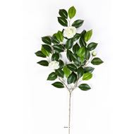 Superbe Branche de camelia artificiel h 55cm avec fleurs crème