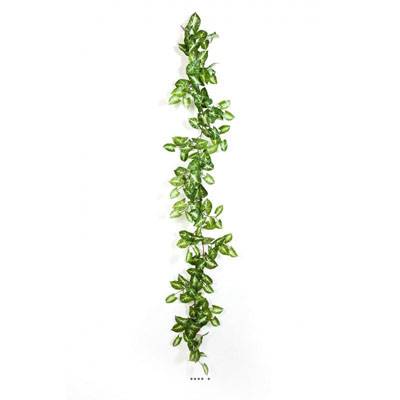 Guirlande de syngonium Nepthytis artificiel Ramifiée L180 cm en Tissu