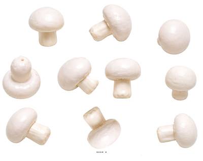 Champignons de Paris Blanc Rosé factices – lot de 10 – H 4,65 cm L 3,4 cm