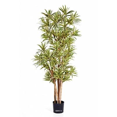 Dracaena reflexa artificiel Panache H 180 cm 1974 feuilles en pot