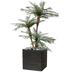 Palmier Cycas 3 Troncs en pot 160cm superbe de réalisme