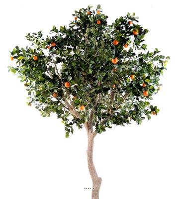 Oranger artificiel H 280 cm tronc naturel en pot avec fruits L 180 cm avec Oranges