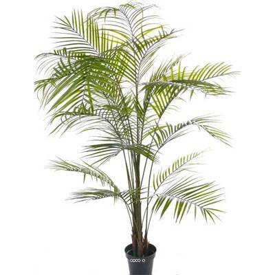 Palmier Areca artificiel H 195 cm en plastique anti-UV en pot