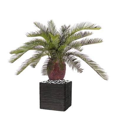 Palmier Artificiel Cycas H 70 cm 22 feuilles en pot