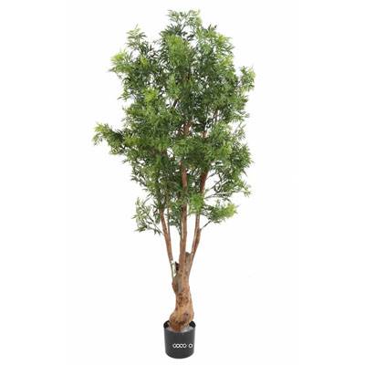Aralia Arbre Artificiel H 165 cm D 80 cm Feuillage Anti-UV en pot