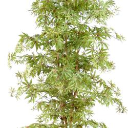 Aralia Arbre Artificiel H 210 cm Vert-rouge