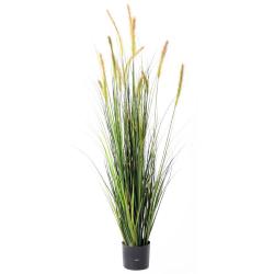 Graminee en pot artificielle plante d eau avec quenouilles H 150 cm D 50 cm Vert-jaune