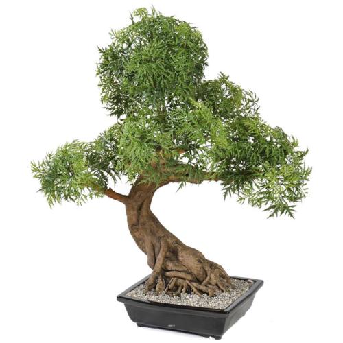 Bonsaï Aralia Artificiel H 95 cm D 60 cm en pot