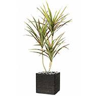 Dracaena artificiel 3 troncs en pot H 140 cm Vert-rose