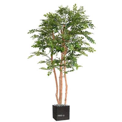Acacia artificiel eco 4 troncs Naturels en pot H 200 cm Vert