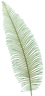 Feuille Fougère artificielle X6 Verte très aerienne H 60 cm