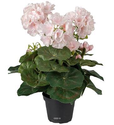 Géranium factice Rose pâle 6 têtes en pot lesté H35cm belles feuilles