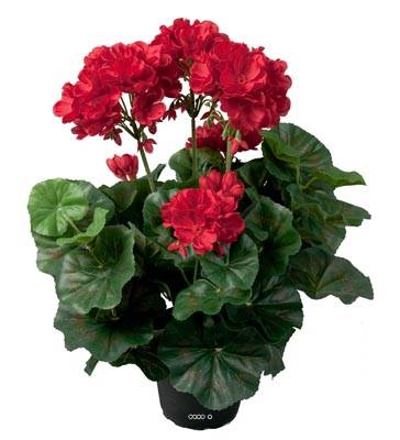 Géranium artificiel Rouge 6 têtes en pot lesté H35cm superbes feuilles