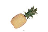 Demi Ananas artificiel petit modle en Plastique souffl H 210x100 mm