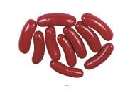 Cervelas artificiel en lot de 10 en Plastique soufflé L 95x30 mm