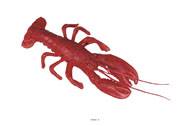 Homard americain artificiel en Plastique soufflé L 300x130 mm